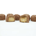 Philadelphia Candies Homemade Coffee Creams Milk Chocolate 1 Pound Gift Box