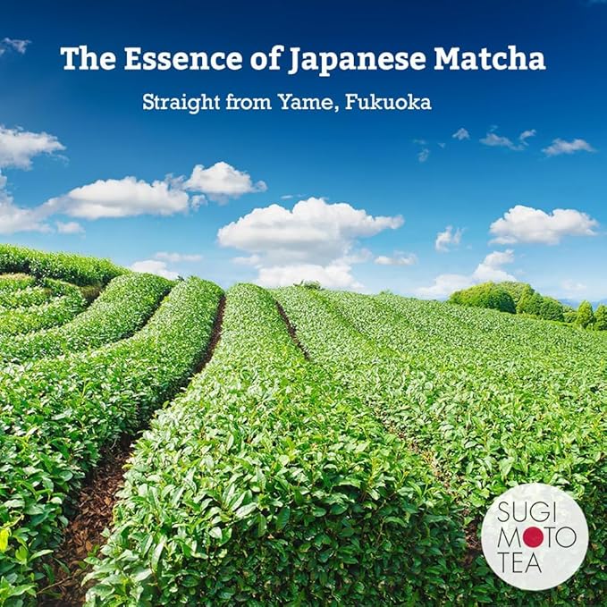 SUGIMOTO TEA Matcha Organic Ceremonial Grade Matcha Powder 1.0 oz (28 g)