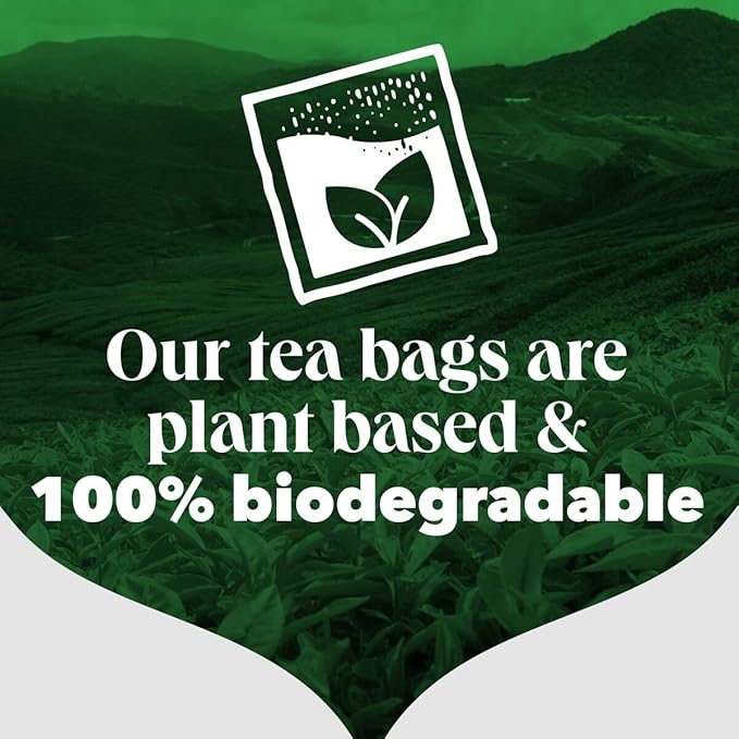 PG Tips Premium Black Tea For a Classic Caffeinated Beverage Black Tea Bags 240 Total Bags (40 Count - Pack of 6)