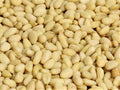 Pine Nuts Raw by It’s Delish 10 lbs Bulk | Unsalted Raw Pine Nuts for Baking Pesto or Salads | Natural and Kosher Pine Nuts for Vegan Snacking