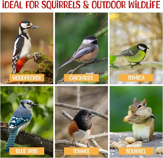 Premium Quality Raw Out of Shell Peanuts for Wildlife - 45 Pounds - Shelled Peanuts- Grown in The USA for Squirrels Deer Birds