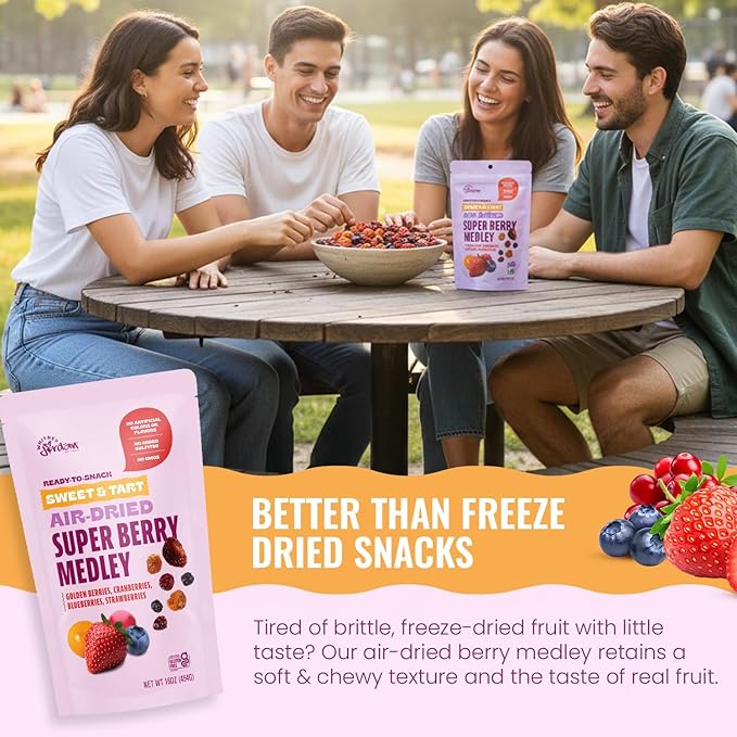 Whitney Jordan Naturals Air-Dried Super Berry Medley 16 oz Pack of 2 - Dried Fruit Snack Made from Real Berries - Non-GMO Gluten-Free Vegan Chewy Real Fruit for Clean Snacking