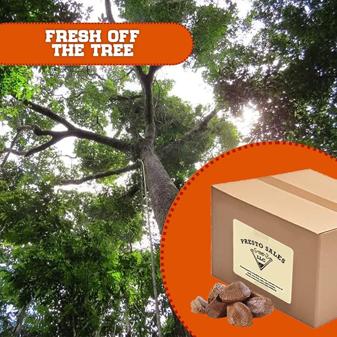 Brazil Nuts In shell Polished Large 160 oz. Raw Brazil Origin KETO Vegan Non-GMO And Natural Whole Superior High-Protein &amp Easy to Crack Packed in a convenient Box/Bag of 10 lbs. by Pres