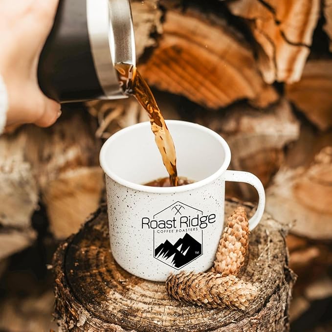 Roast Ridge Single Serve Coffee Pods for K-Cup Brewers Medium Roast Chocolate Mocha 60 Count