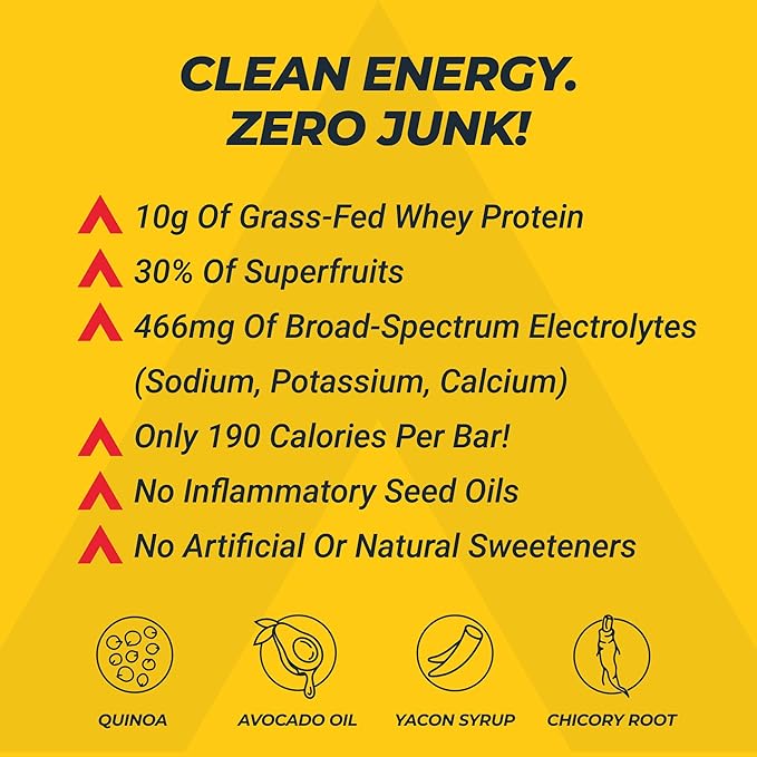 TITANIUM Protein Energy Bars - Fruit Bars with Dried Superfruits Quinoa 10g Of Protein Chocolate Chip - Alternative To Cliff Bars - Snack Bars Healthy Food - Camping Snacks Hiking Food - Healthy