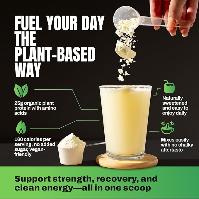 VEDGE Vanilla Protein Powder Creatine Monohydrate and Vegan Omega 3 Complete Vegan Performance Stack for Muscle Strength Endurance &amp Recovery Superfood Vitamin A Vitamin C and Amino Acids