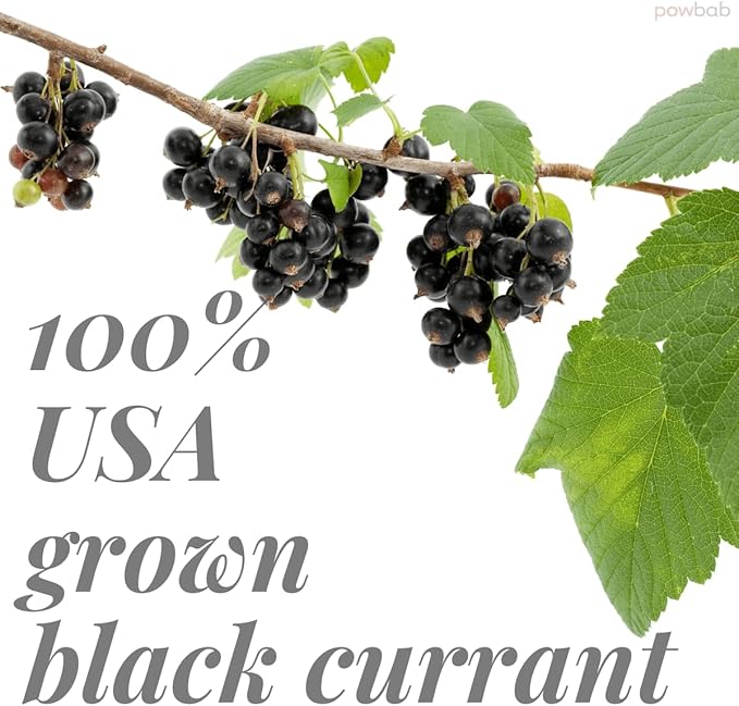 powbab Black Currant Powder - 100% USA Grown Whole Black Currants. No Juice Concentrate No Added Sugar. Made in USA from Dried Currants Unsweetened. Not Freeze Dried. Non-GMO No Maltodextrin. (6 oz)