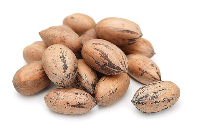 Anna and Sarah Premium Georgian Raw Fresh Pecans in Shell (4.5 Lbs in Bag)
