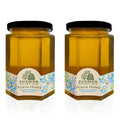 Sanniti Fulmer All Natural Hungarian Acacia Honey 17.64 oz (Pack of 2)
