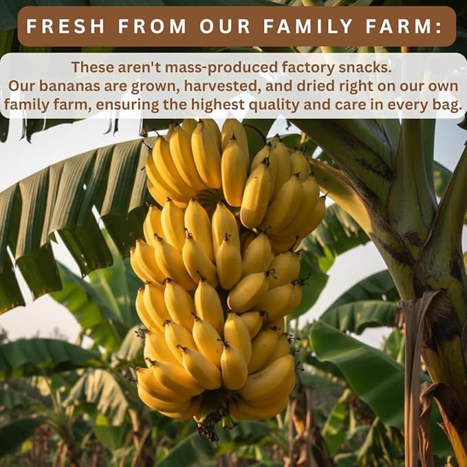 Organic Sun Dried Banana Snacks - Natural Fruit Leather No Sugar Added - No Preservatives - Unsulfured - Soft and Chewy - Bulk Value Pack (16 OZ Individually Wrapped)