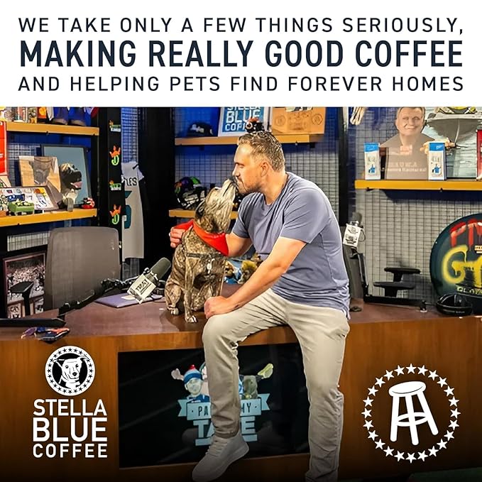 Stella Blue Whole Bean Coffee Variety Pack Big Cat Blend And Miss Peaches Blend Medium Roast Arabica Beans Caramel Citrus Fruity Notes Smooth Balanced Flavor 12 Oz Bags