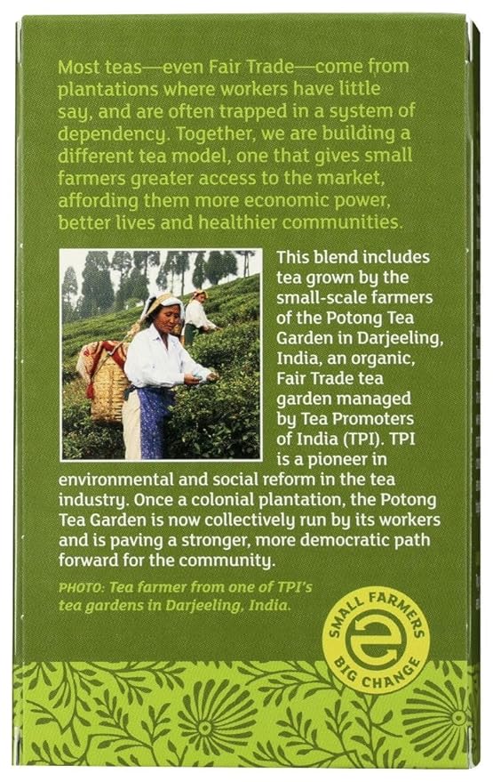Equal Exchange Green Tea (6/20 BAG) by Equal Exchange