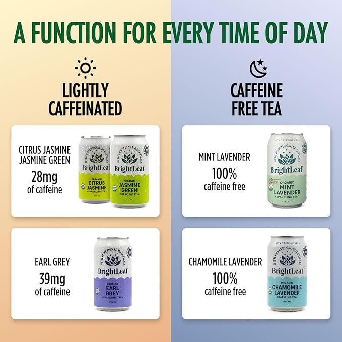 BrightLeaf Jasmine Green Sparkling Tea with Functional Benefits For Focus – Regenerative Organic Lightly Caffeinated Zero Sugar Zero Calories Zero Sweeteners – 12oz Cans 12-Pack – Craft-Brewed wi