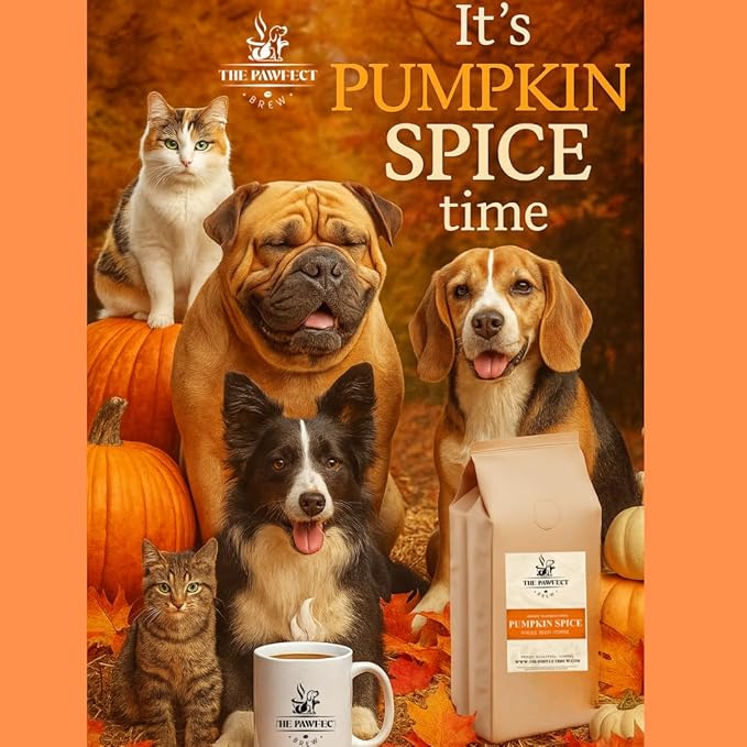 Dog Lover’s Coffee – Pumpkin Spice by The Pawfect Brew | Medium Roast Whole Bean 2lb Bag | Warm &amp Spiced Seasonal Flavor | 25% Profits Donated to Animal Rescue