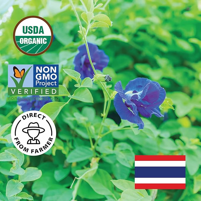 INCAS 100% USDA Organic Butterfly Pea Flower 8.82 oz (750+ Cups) DIRECT FROM SOURCE Thailand Non GMO Verified Dried Caffeine Free Gluten Free Vegan Rich in Antioxidants Free eBook (250Gram)