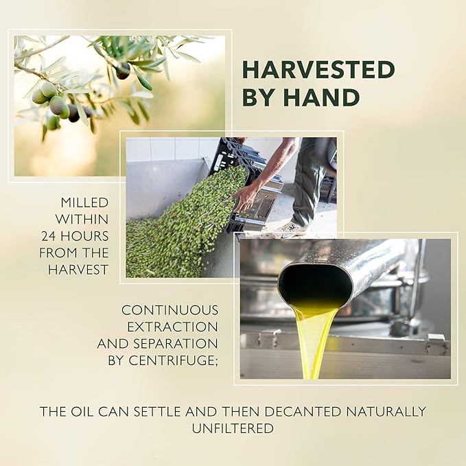 Frantoia Extra Virgin Olive Oil from Italy - Fruity Unfiltered Cold Extracted Authentic Sicilian Olive Oil - Fresh Harvest Imported From Italy - 33.8 fl oz - Pack of 6