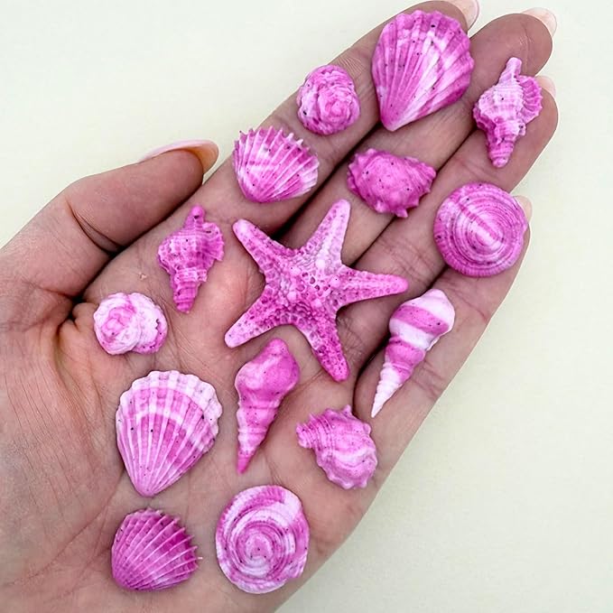 15 Dye Free Seashell Edible Cake Decorations Vegan Gluten-Free Edible Cake Toppers for Cupcakes Cookies &amp Desserts by Simply Sucré (30 Pieces (Bulk Box) Magenta)