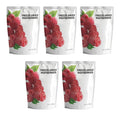 Wise Harvest Freeze-Dried Raspberries – Five 1oz Packs | Single Ingredient Snack | 100% Real Fruit No Sugar Added Just Crunch | Healthy Vegan Gluten-Free Snack for Kids &amp Adults