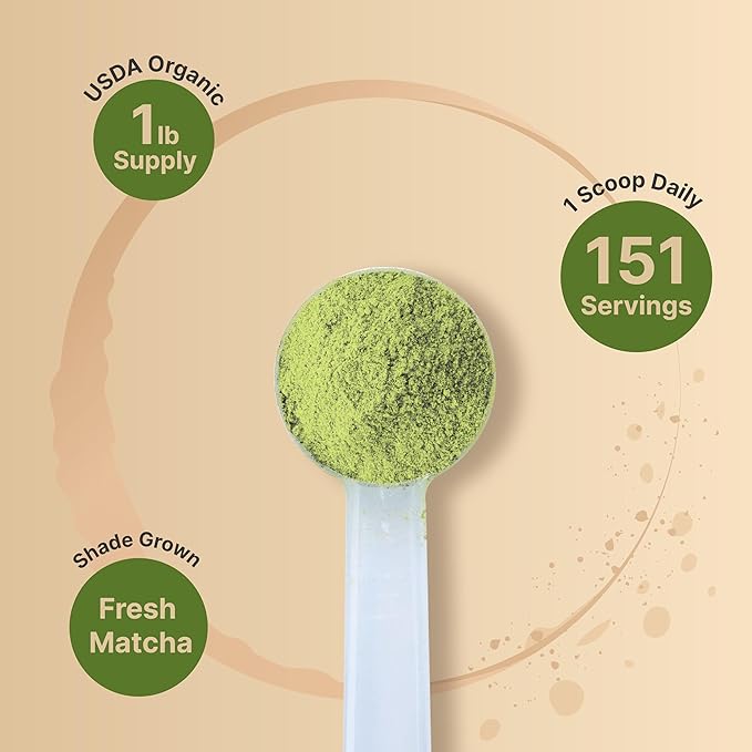 Organic Matcha Green Tea Powder 1 Pound | Unsweetened with Zero Sugar Culinary Grade Potent Early Spring Leaf Harvest Fine Stone Ground – Vegan All Purpose Great for Matcha Latte