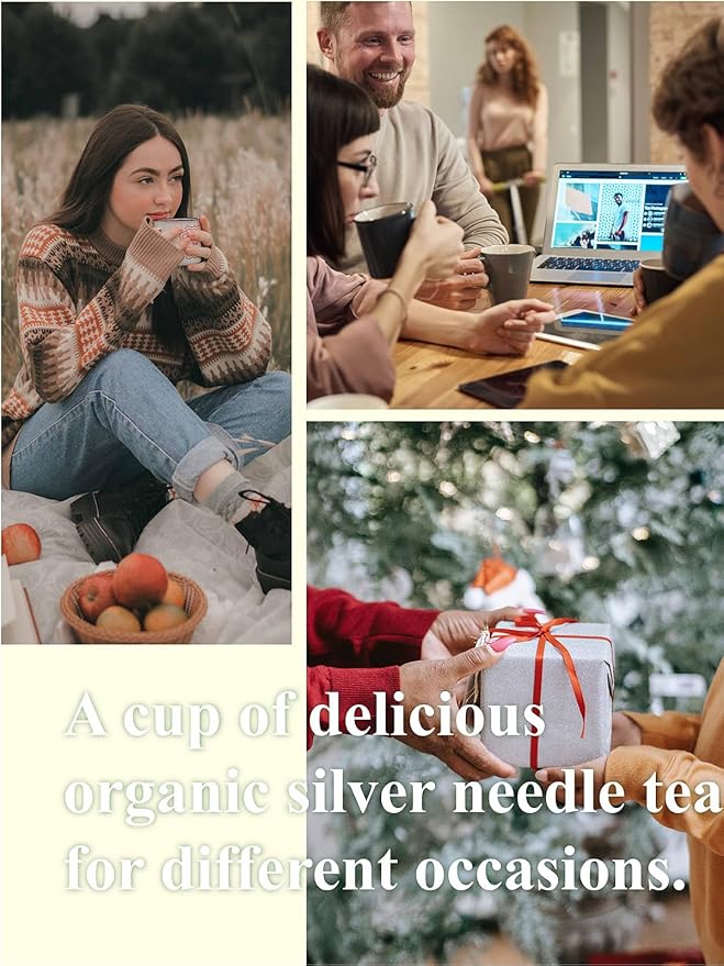 GLDNT Organic Silver Needle White Tea Premium Chinese Organic White Tea Loose Leaf Low Caffeine Delicate &amp Smooth Flavor 3.5oz