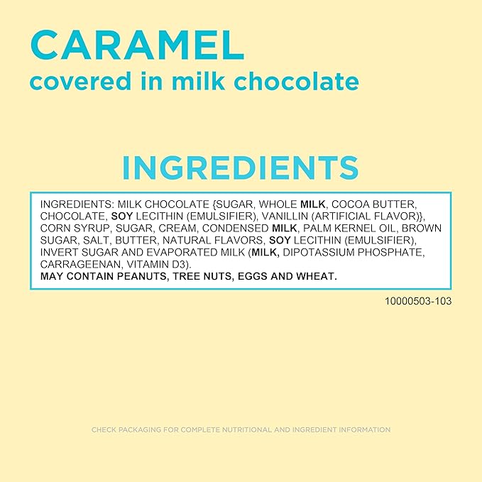 Russell Stover Easter Caramel Milk Chocolate Easter Egg 1.3 oz each (Pack of 18)