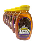Star Thistle Honey 16oz. Bottle - Bulk Case of 12 Unpasteurized Unblended No Additives Pure Michigan Honey
