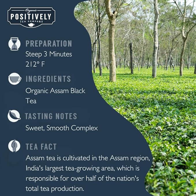 Organic Positively Tea Company Indian Tea Sampler Loose Leaf 4 Ounce 3 Pack