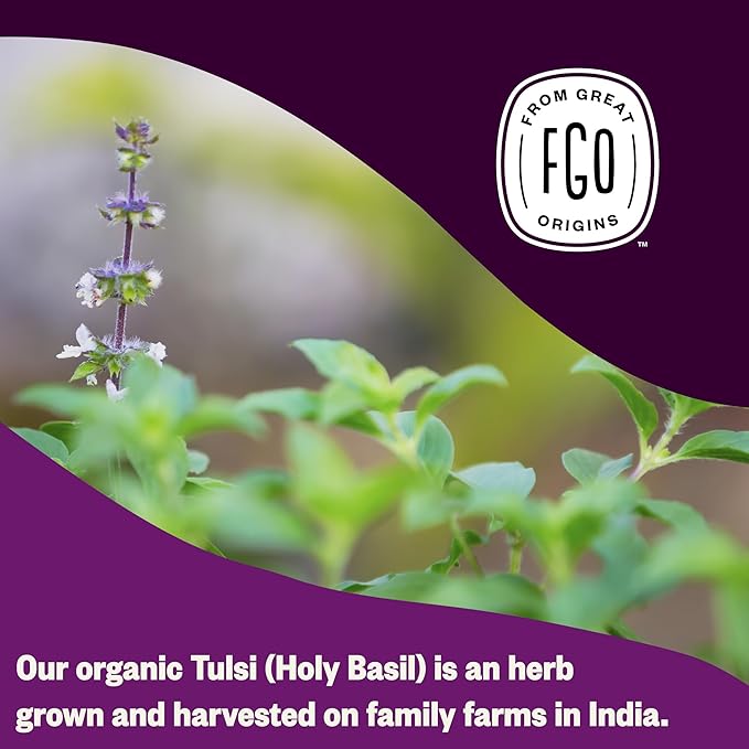 FGO Organic Tulsi Holy Basil Tea 100 Count Eco-Conscious Herbal Tea Bags Resealable Bag Caffeine Free Packaging May Vary (Pack of 1)