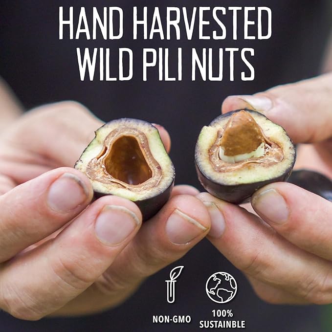 Pili Hunters - Wild Sprouted Pili Nuts Natural Unsalted Plain (1 lb Bag) Keto/Paleo/Vegan Snacks Low Carb Energy Gluten Free No Sugar Added Superfood The Original