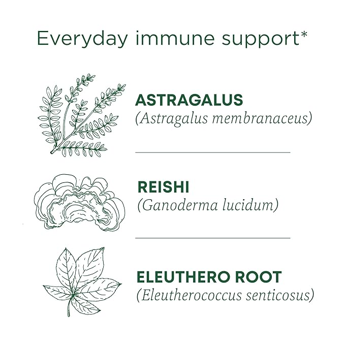 Traditional Medicinals Tea Organic Stress Ease Immune with Adaptogens Everyday Immune Support Reishi Warming Spice 96 Tea Bags