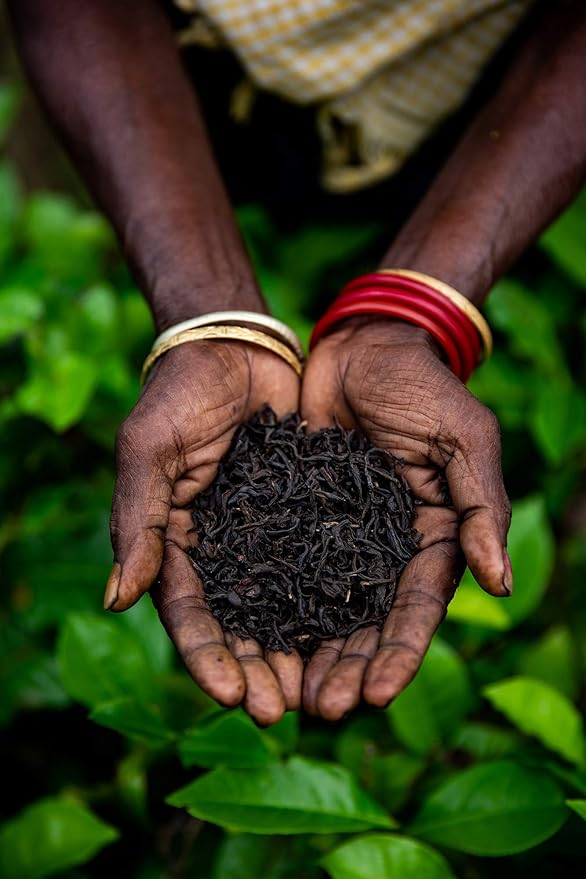Loose Leaf Earl Grey Black Tea (200+ Cups) - Fresh Harvest - Directly Shipped From Our Family-Owned Estate in India - Blended with Organic Bergamot Oil Sourced From Italy - Bulk Pack ƒ