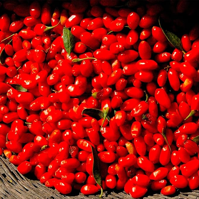 Wholeberry organic wolfberry gouqi Goji berries 22lbs | Raw Vegan Gluten Free Super food High in Plant Based Protein Dietary Fiber Vitamin A &amp Iron | Large