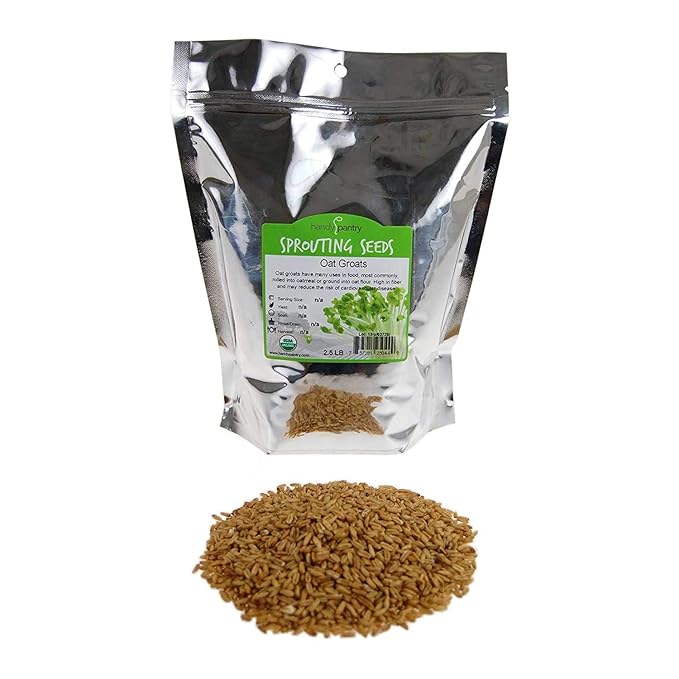 Organic Hulled Oat Groats (Hull Removed): 2 Lbs - Non-GMO Oats - Cereal Grain - Emergency Food Storage Grains Rolling for Oatmeal &amp More