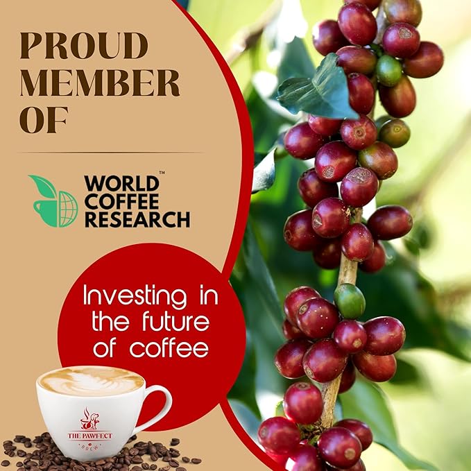 Dog Lover's Mushroom Coffee – Medium Roast Ground Specialty-Grade with Lion’s Mane Cordyceps &amp Reishi – Coffee with a Cause Drip 8oz