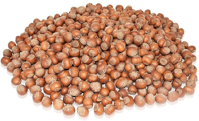 Anna and Sarah 10 Lbs Oregon Large Hazelnuts In shell Kosher WholeNON-GMO Fresh Buttery Taste and Easy to Crack in Box (160 Oz)