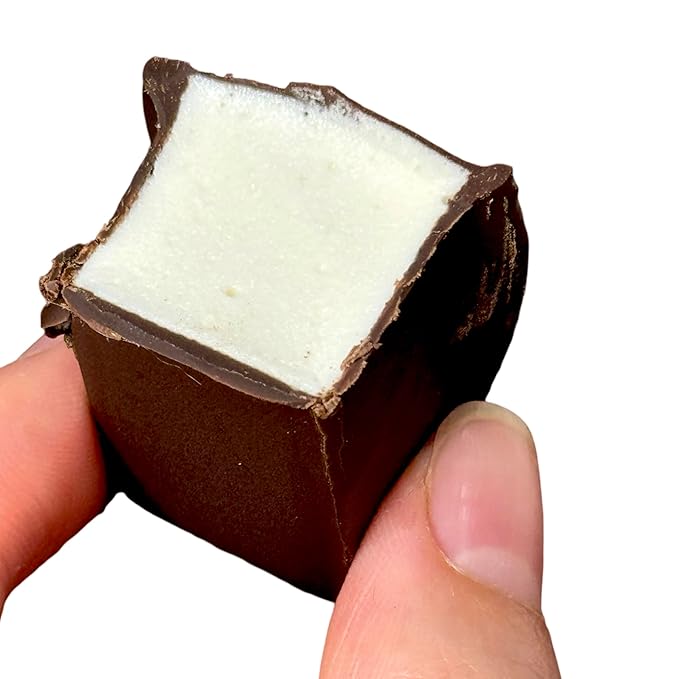 Bird Milk Candies Airy Souffle Coated in Dark Chocolate by Helen Bakery Handcrafted in Small Batches 30 pcs per pack 20 oz | 566 g (pack of 2)