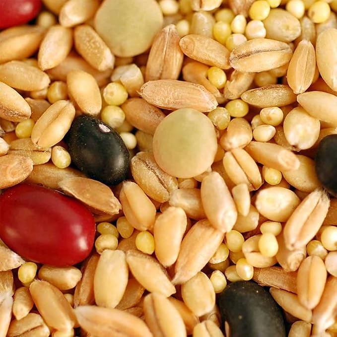 Handy Pantry Organic Biblical Bread Multi-Grain Mix - Make Scripture Bread/Flour - 5 Lbs - Whole Grain Mix: Wheat Spelt Barley Millet Lentils &amp Beans