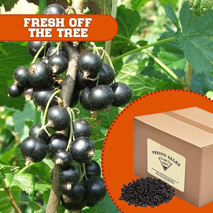 Currants Natural USA Zante Dried Seedless Grapes Snack Ingredient Sweet Tangy Healthy Super Food Lucius Mindful packed in a 10 lbs. (160 oz.) bag/box By Presto Sales LLC