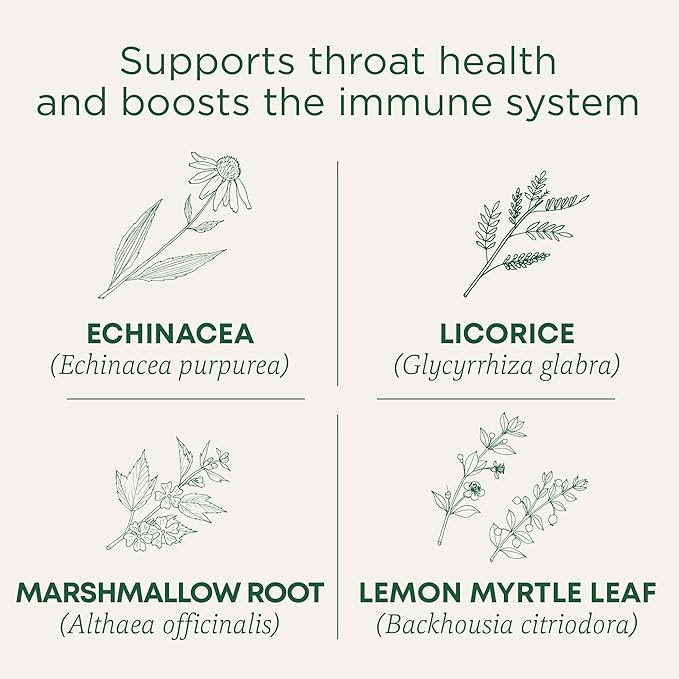 Traditional Medicinals Tea Organic Throat Coat Lemon Echinacea Supports Throat Health &amp Immune Function 96 Tea Bags (6 Pack)