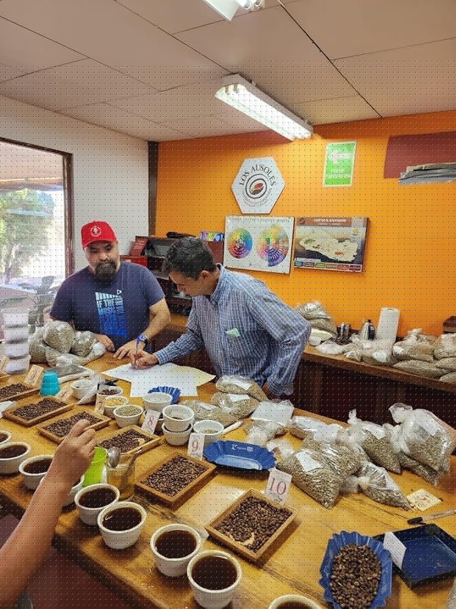 Tesoros Del Pais Green Unroasted Coffee Beans Ahuachapan El Salvador Single Estate High Elevation (10 lb Honey Washed)