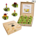 Creano Tea Flowers in Cup Size - Gift Set in Wooden Box - 12 Blooming Green Tea in 4 Varieties - Gift for Women Mother Tea Lovers