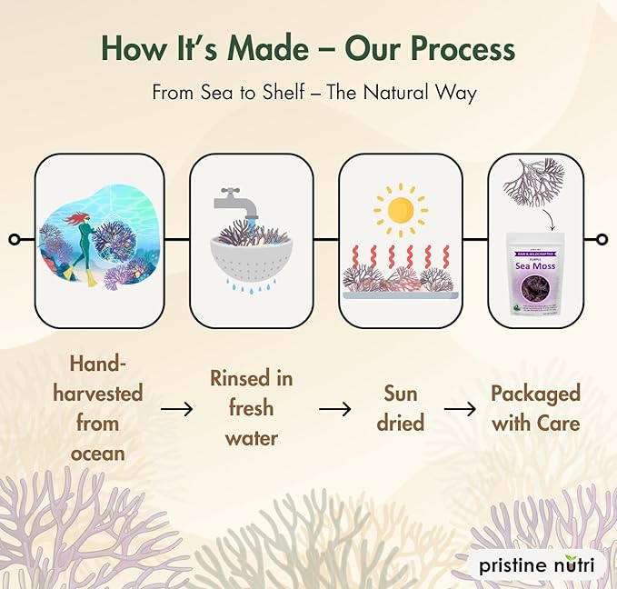 Purple Sea Moss Wildcrafted Raw Seamoss from St. Lucia Sun-Dried True Mineral-Rich Superfood Makes 160+ oz of Sea Moss Gel 100% Natural Vegan Non-GMO 8 oz bulk package