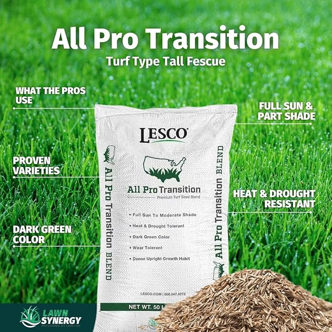 Lesco All-Pro Transition Tall Fescue Grass Seed Blend (50 lbs) – Drought-Tolerant Heat &amp Shade Resistant Insect-Resistant Lawn Seed for Durable Turf