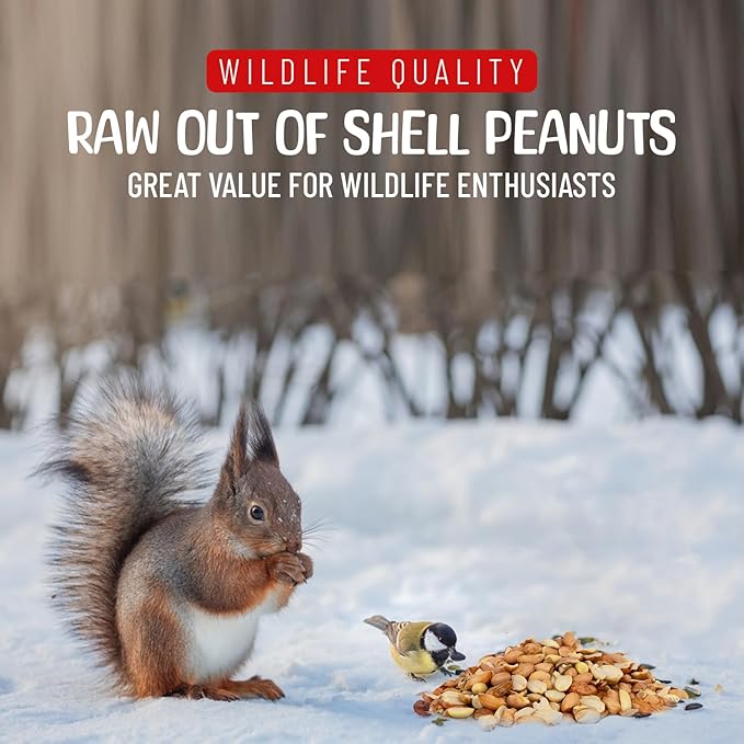 Premium Quality Raw Out of Shell Peanuts for Wildlife - 45 Pounds - Shelled Peanuts- Grown in The USA for Squirrels Deer Birds