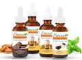 Stevia Drops English Toffee Vanilla &amp 2 Butterscotch Stevia Select Keto Coffee Sugar-Free Stevia Flavors Bundle (4) Pack