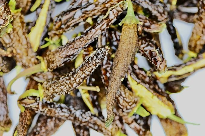 Garnishes &amp Dreams Dehydrated &amp Dried Jalapeño Halfs (7oz) – Natural Spicy Vegetable for Cocktails Mixology Culinary Garnish &amp Cooking No Sugar Added Edible Dried Jalapeño