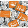 124 Pcs Orange Graduation Candy Party Favors Orange Wrapped Miniatures and Silver Kisses by Just Candy (1.5 lbs approx. 124 Pcs)