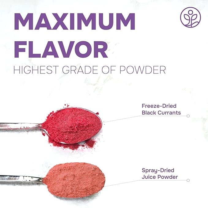 Jungle Powders Black Currant Powder 5 Ounce Bag - Natural Freeze Dried Black Currants for Recovery - Dehydrated Fruit Rich In Anthocyanins &amp Polyphenols Blackcurrant Extract for Smoothies Tea Ba