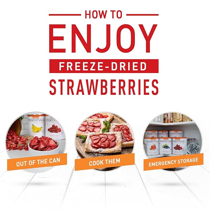 Emergency Essentials Freeze-Dried Strawberry Slices Bulk Freeze-Dried Fruit 30-Year Shelf Life 6.4-oz. Large Can