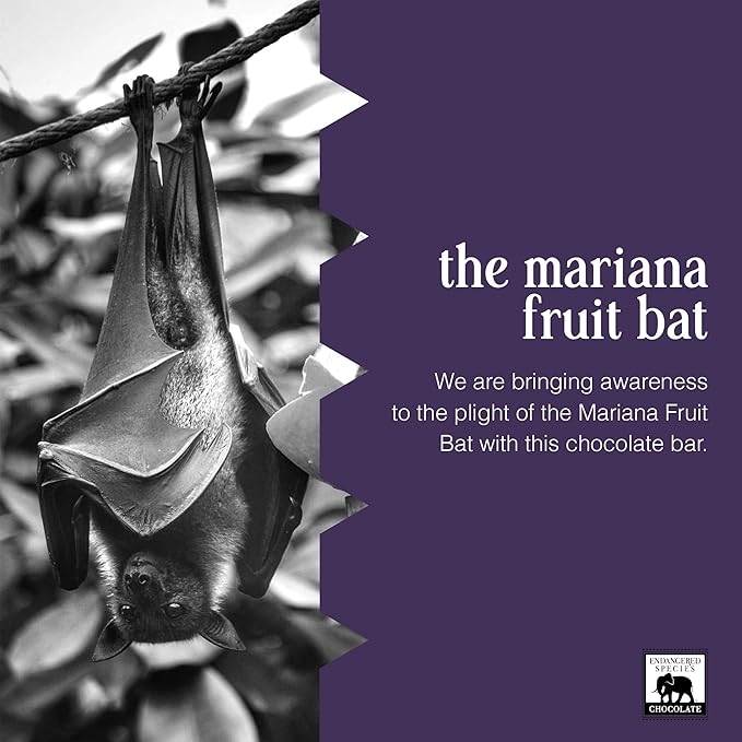 Endangered Species Dark Chocolate Bar with Cacao Nibs (72% cocoa)